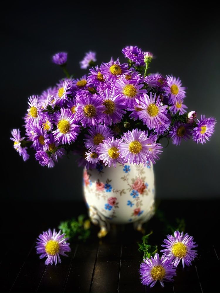 Фотография автора Evgeniya Ivanova