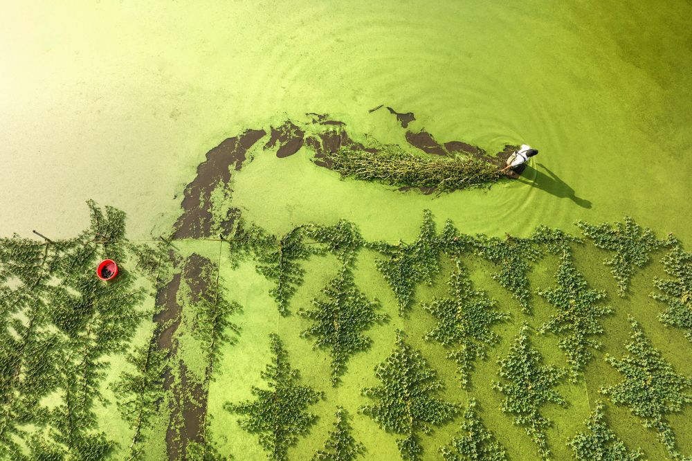 Photograph by Trung Nguyễn