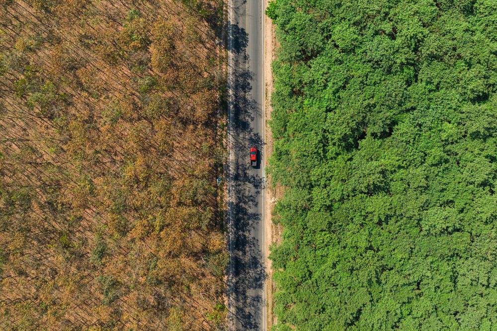 Photograph by Trung Nguyễn