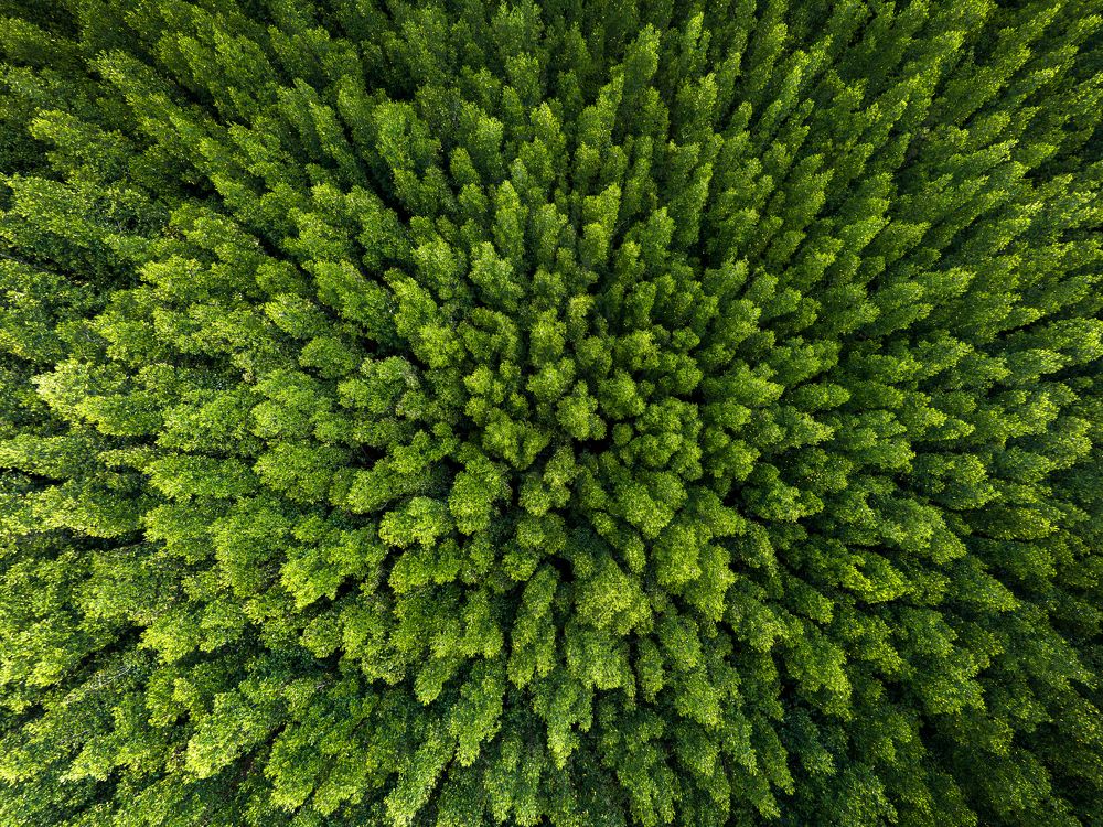 Photograph by Trung Nguyễn