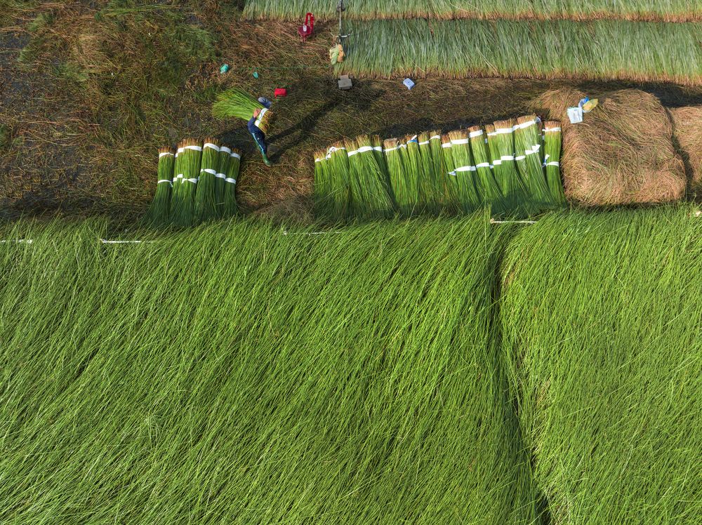 Photograph by Trung Nguyễn