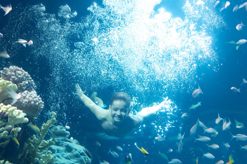 Погружение в море возможностей