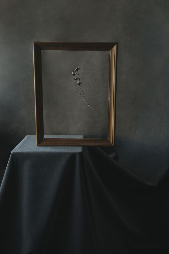 Photograph by Анастасия Медовник