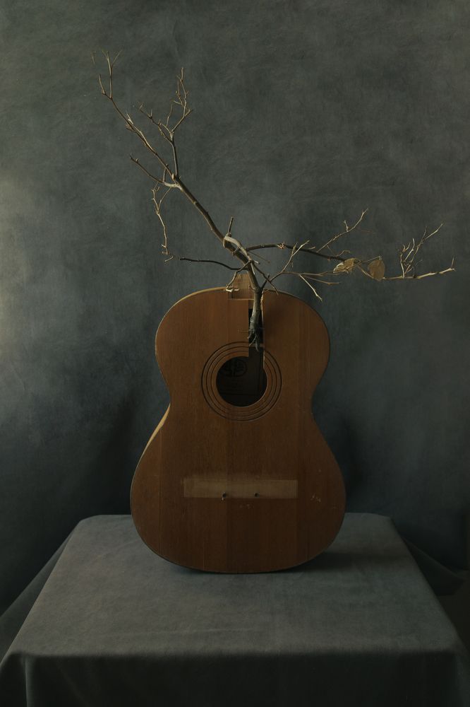 Photograph by Анастасия Медовник