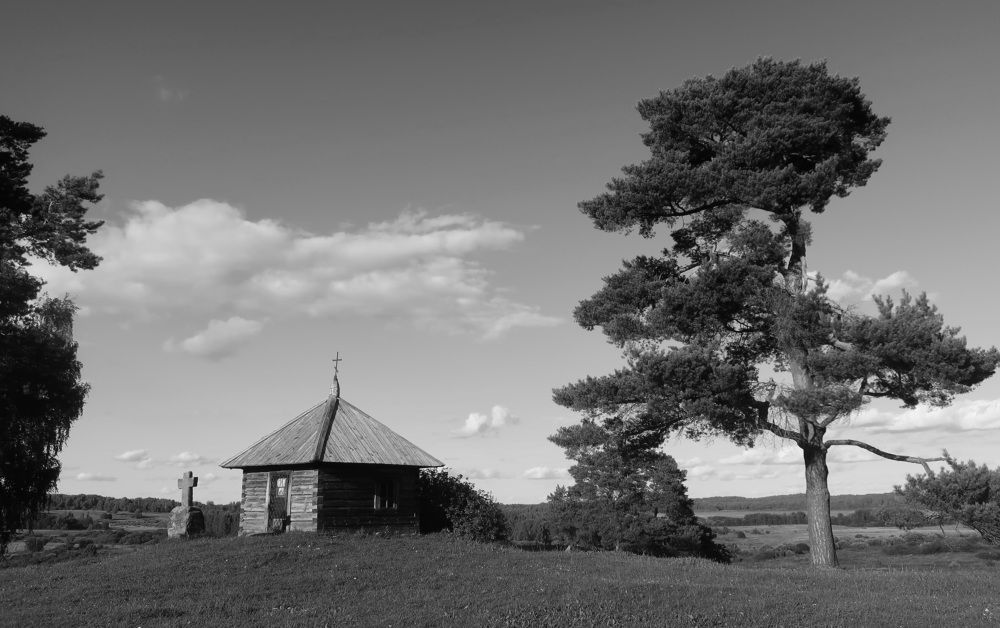 Photograph by Ольга Стоун