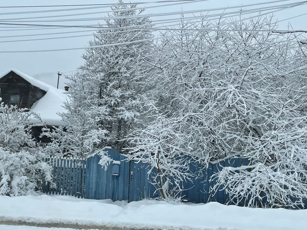 Photograph by Лариса