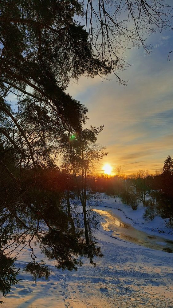 Фотография автора Елизавета Ковалева