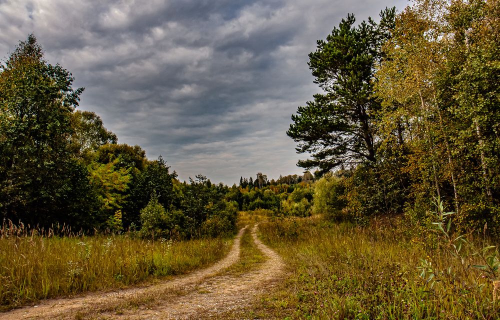 Фотография автора Виктор Парщиков