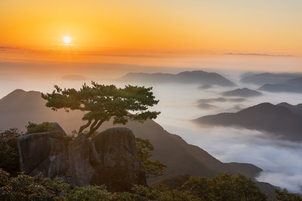 Photograph by NGUYEN XUAN BAC