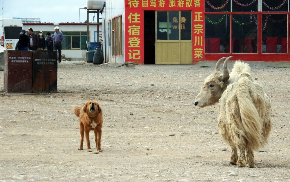 Photograph by Aliaksei Sauko