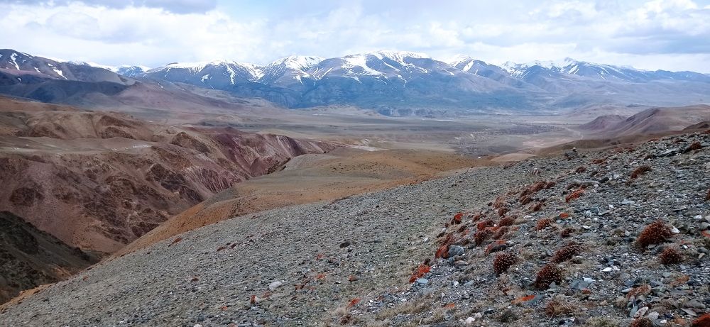 Photograph by Лариса Неудачина