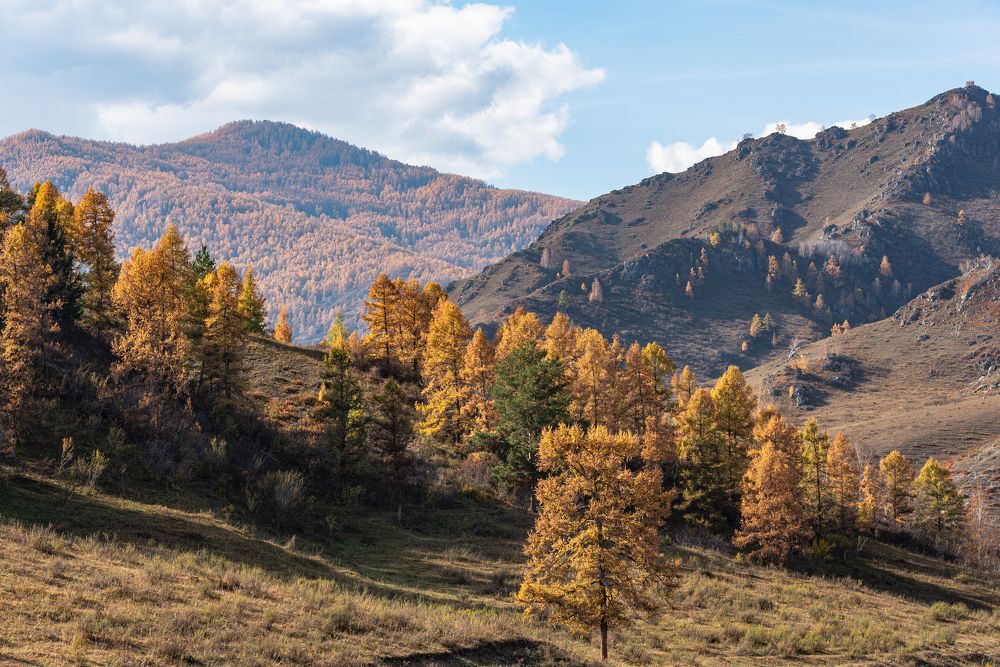 Photograph by Михаил Рогачев