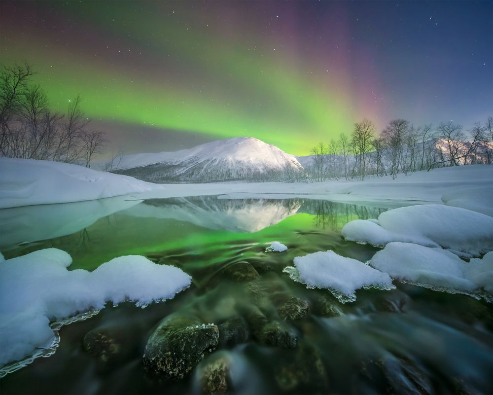 Photograph by Елена Ермолина