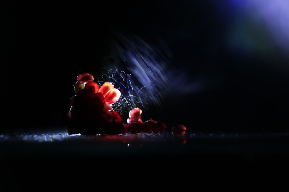 Photograph by Ирина Рыжова