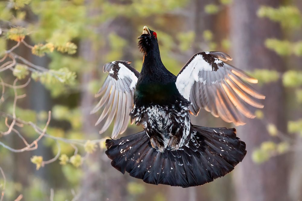 Photograph by Калинин Михаил