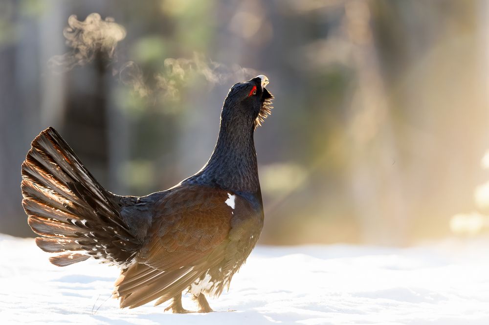 Photograph by Калинин Михаил