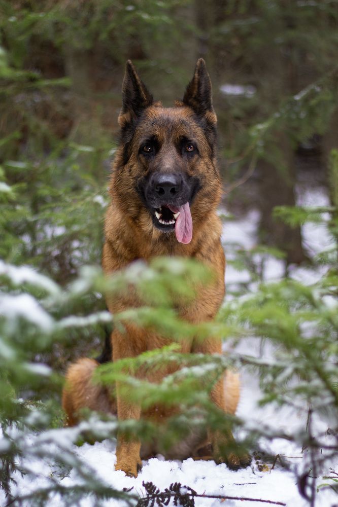 Photograph by Ольга Адольф