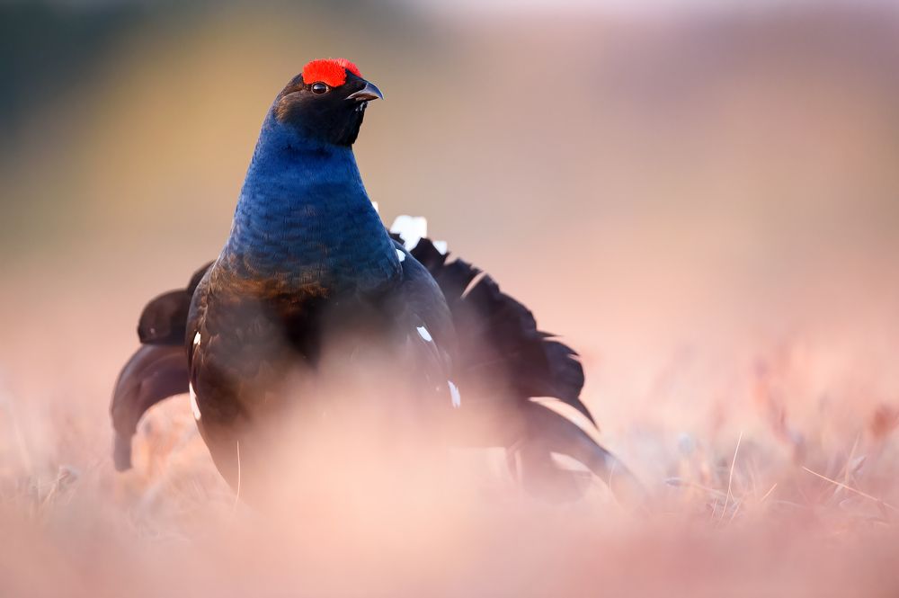 Photograph by Калинин Михаил