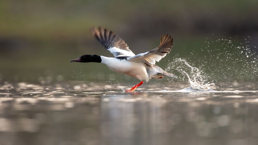 Photograph by Калинин Михаил