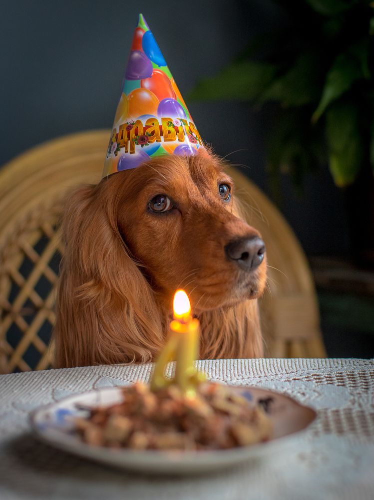 Photograph by Наталья Брюхненко