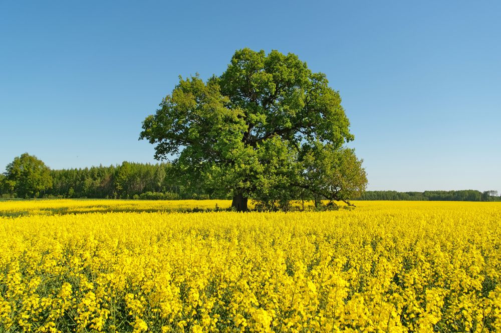 Photograph by Vitalijs Kopa