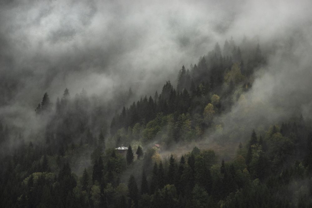 Photograph by Magdalena Konik
