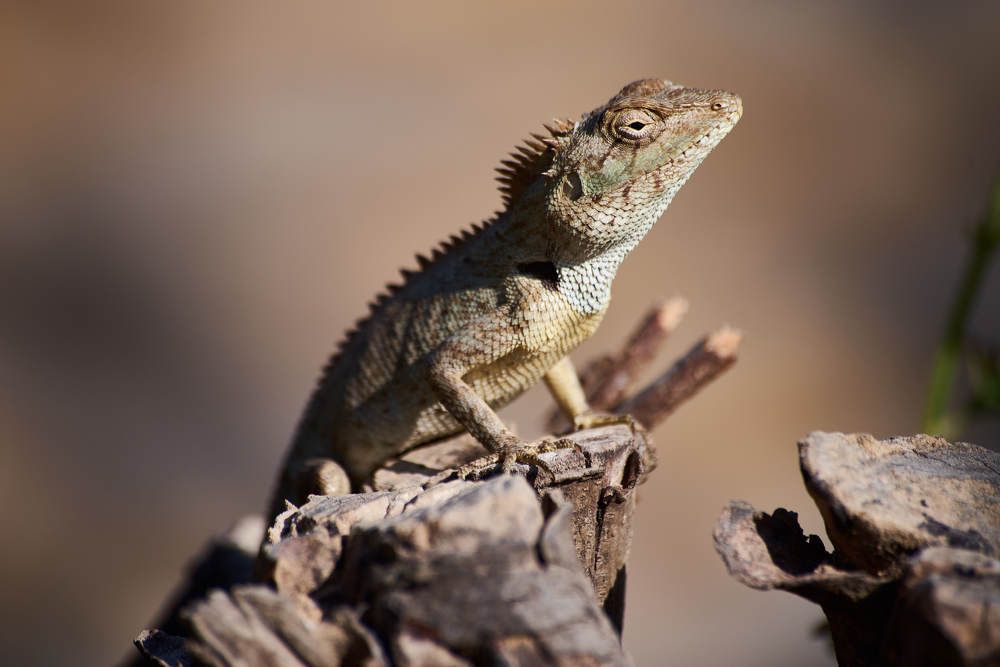 Photograph by Дмитрий Солодухин