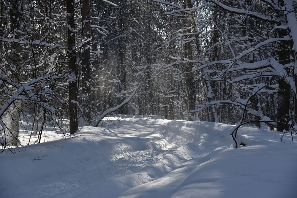 Photograph by Ольга Струкалина
