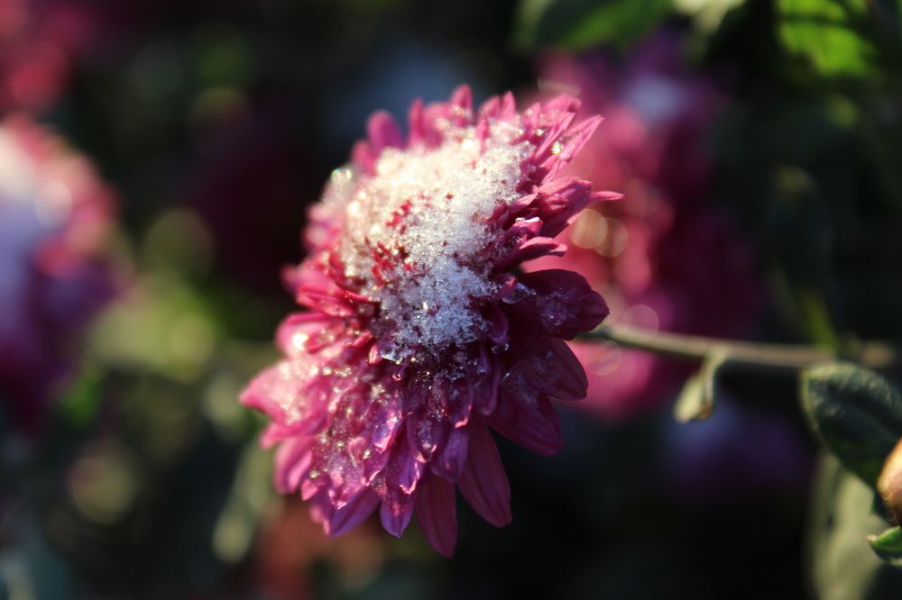 Photograph by Юлия Рыбинцева