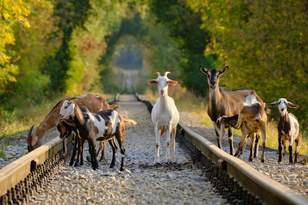 Photograph by Василий Арлашов