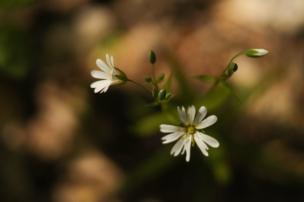 Photograph by Валентина Кваскова