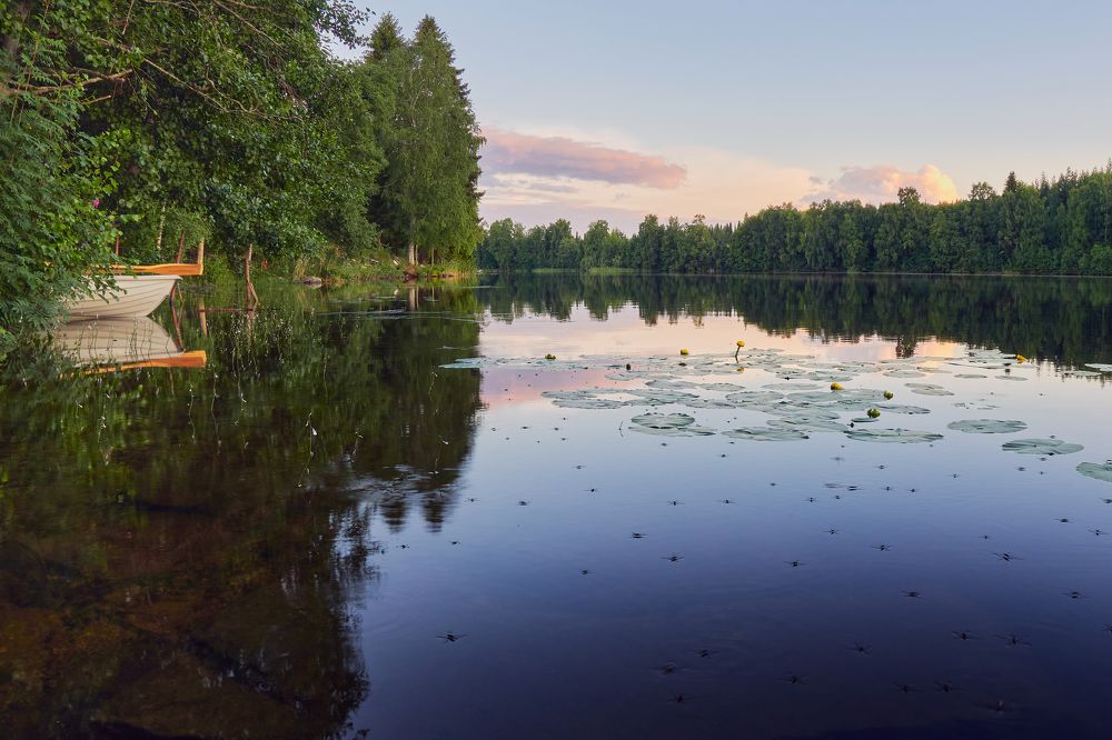 Тёплое спокойствие вечера.