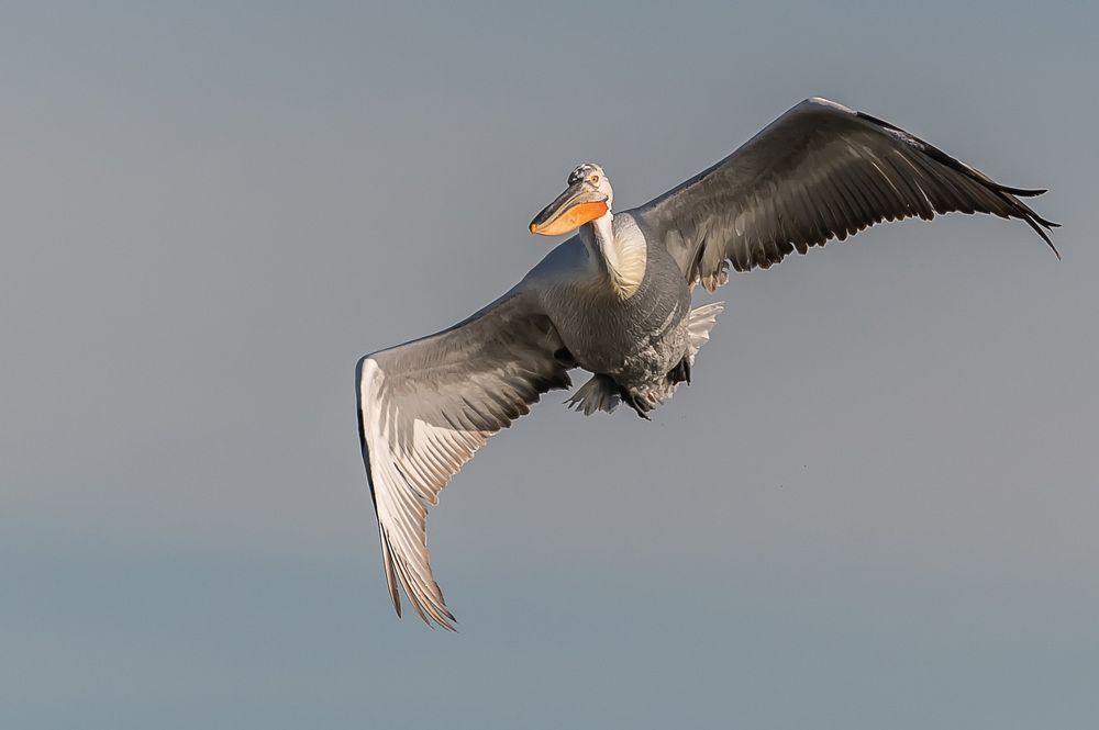 Photograph by Александр Щербаков