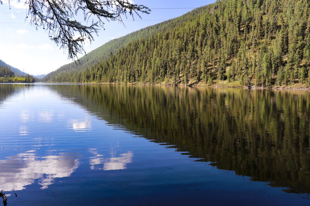 Photograph by Марина Чашина