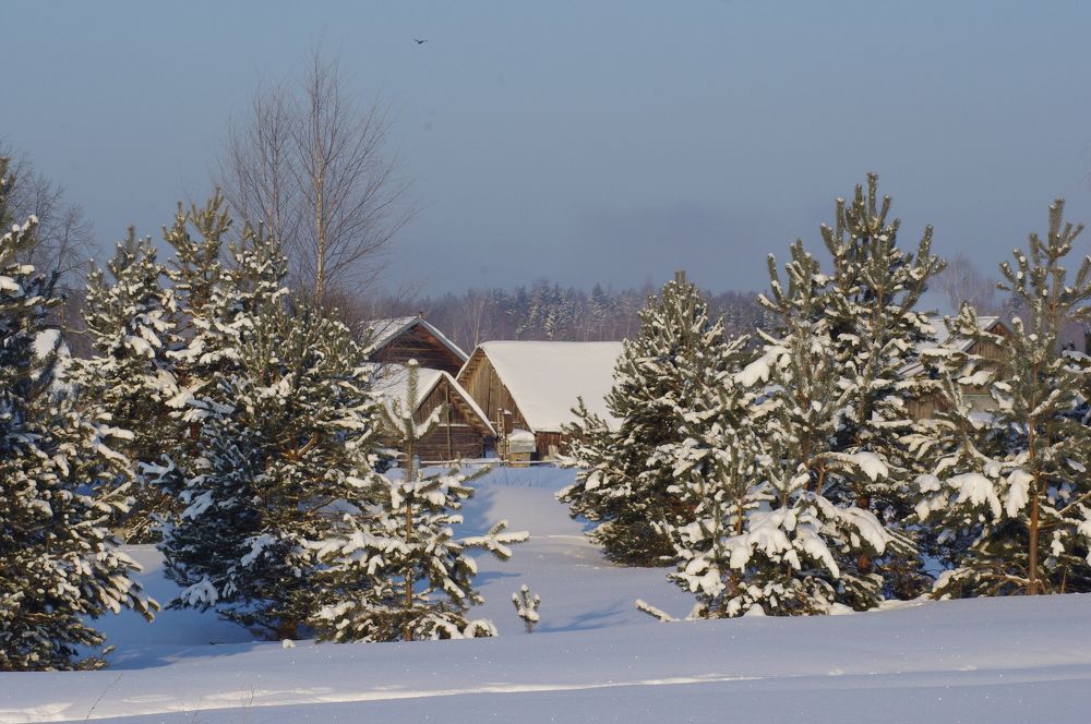 Photograph by Сергей Зоммер