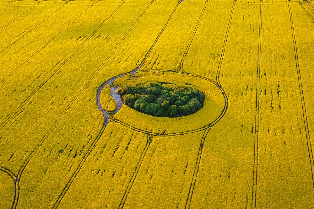 Photograph by Наталья Брюхненко