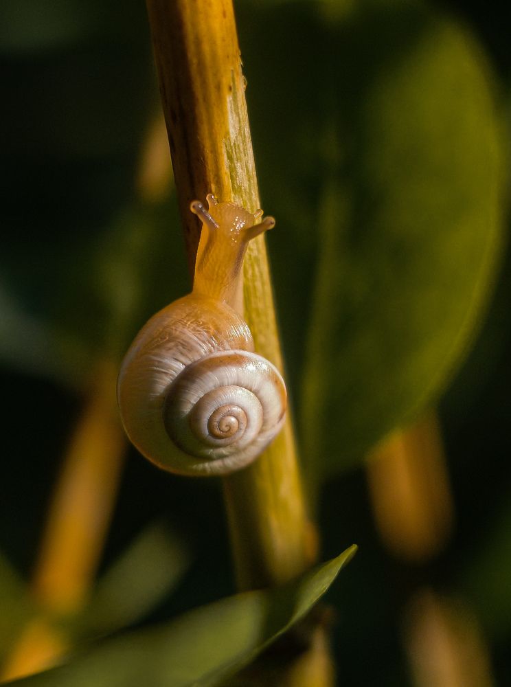 Photograph by Алла Никушкина