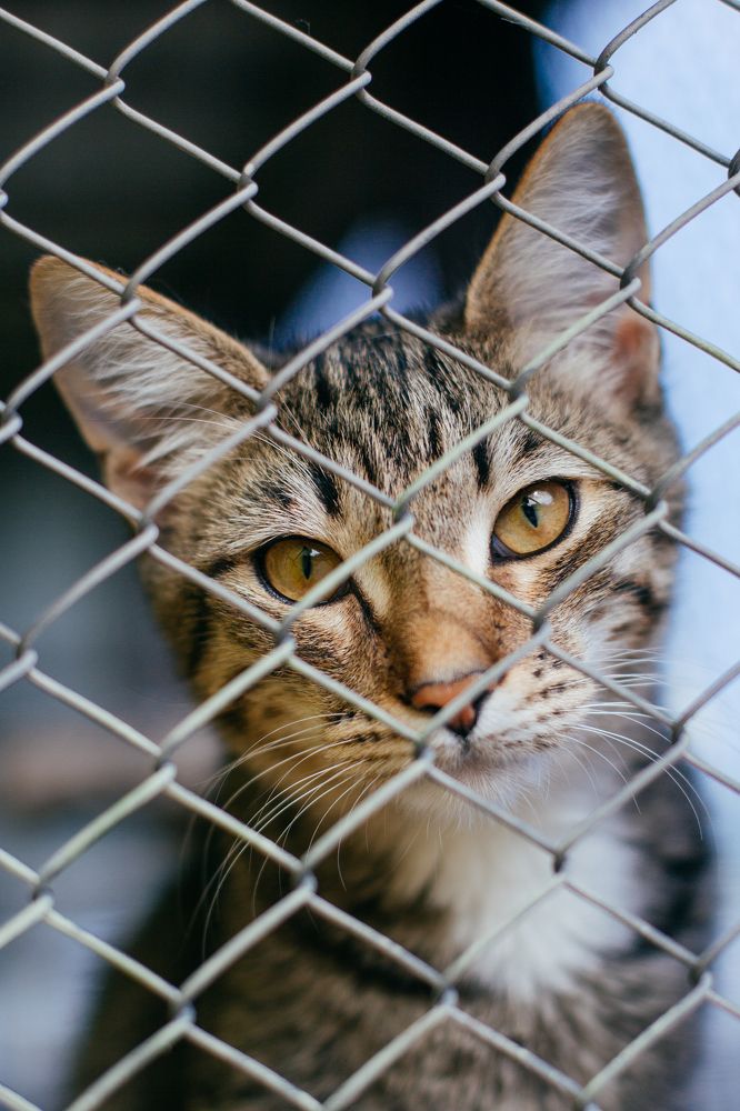 Photograph by Natasha Stugireva