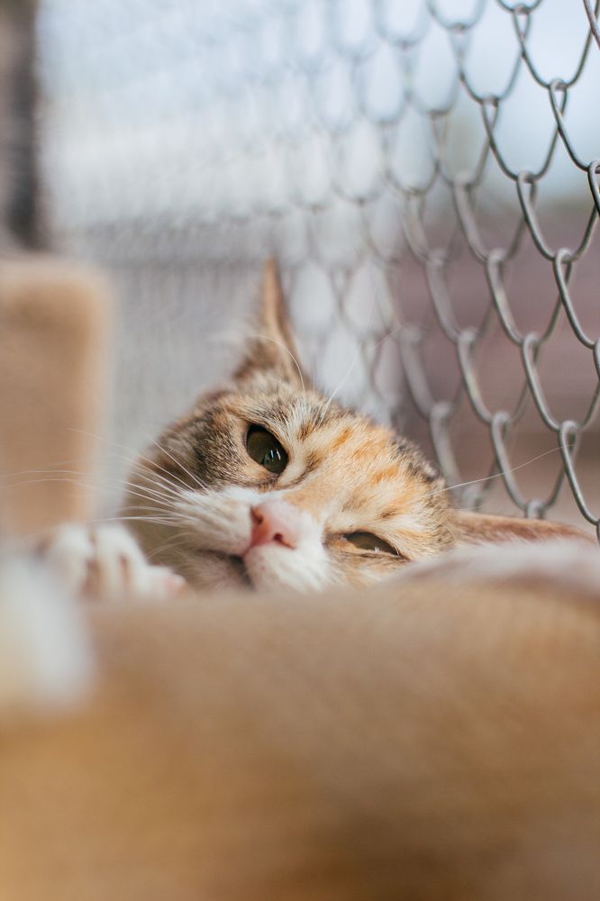 Photograph by Natasha Stugireva