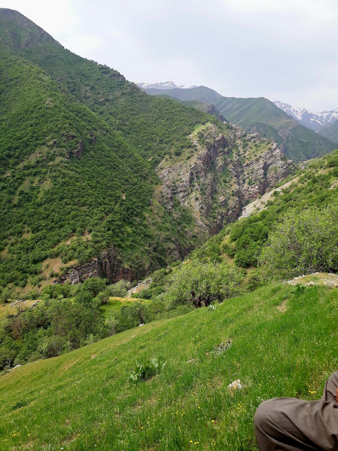 Photo #10277018