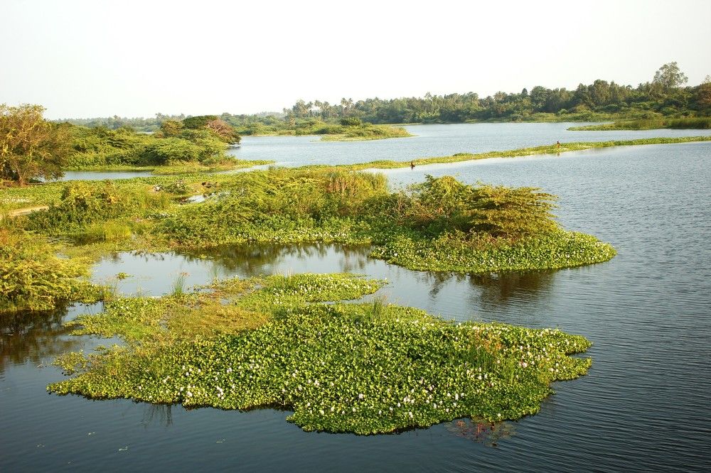 Фотография автора Nadarajan Lakshmanswamy