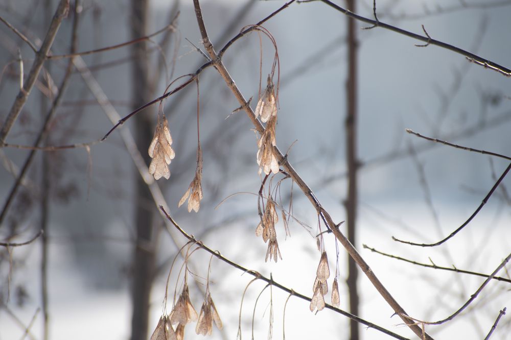 Photograph by Наталья Михалина