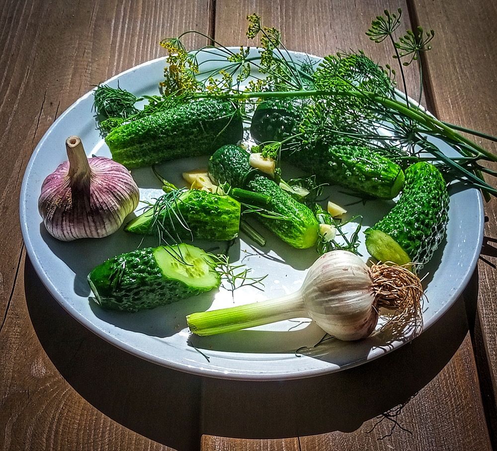 Photograph by Светлана