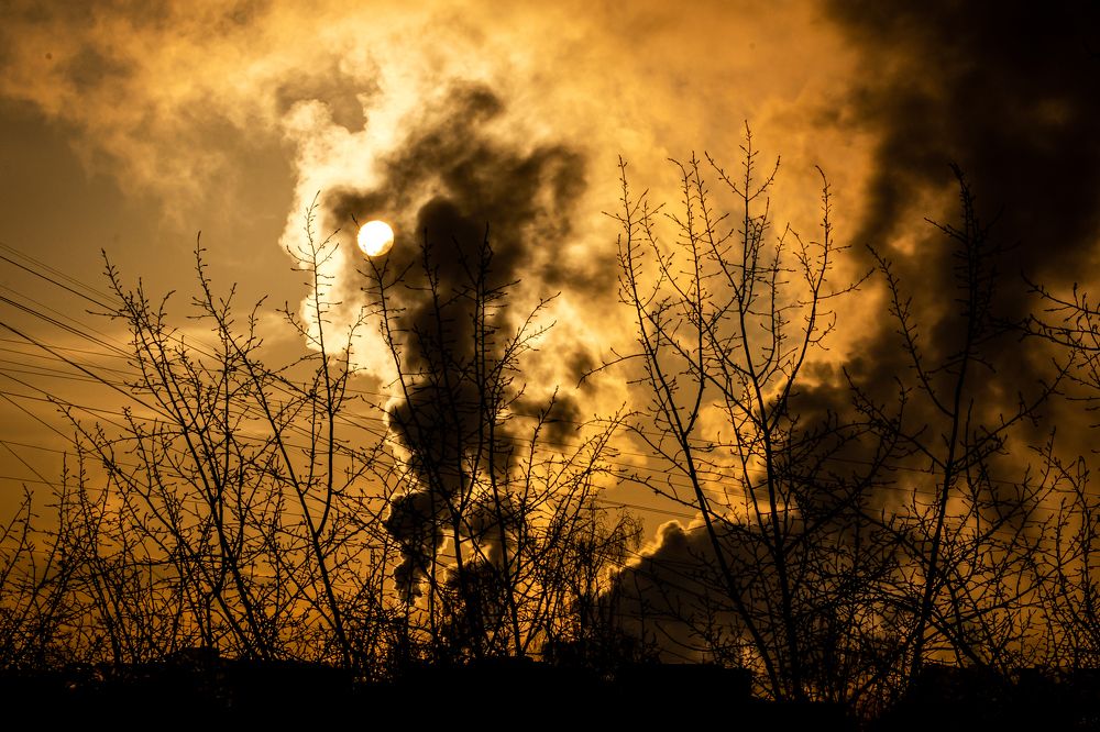 Photograph by Владимир Охрименко