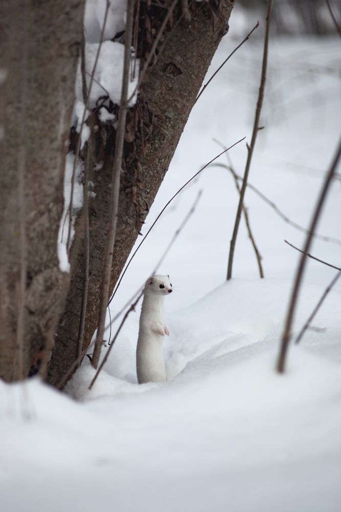Photograph by Ольга Резникова