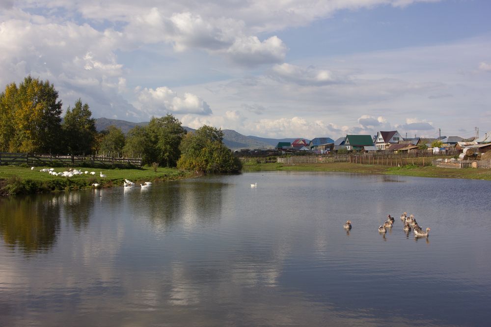 Photograph by Natalia Shilova