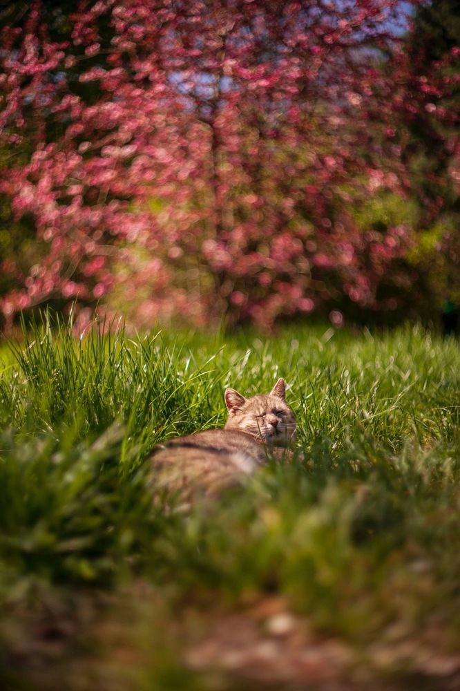 Photograph by Ольга Резникова