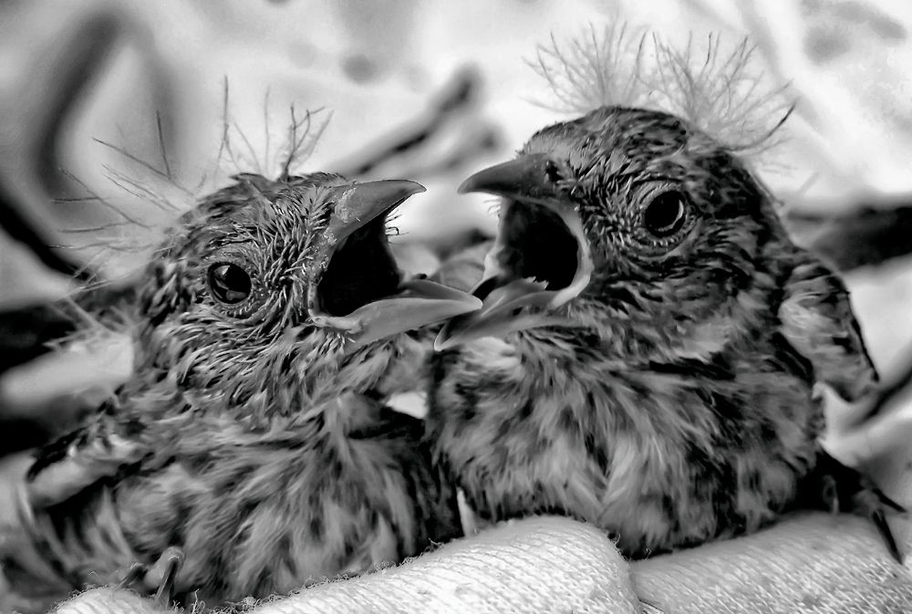 Photograph by Vladislav Chernencko