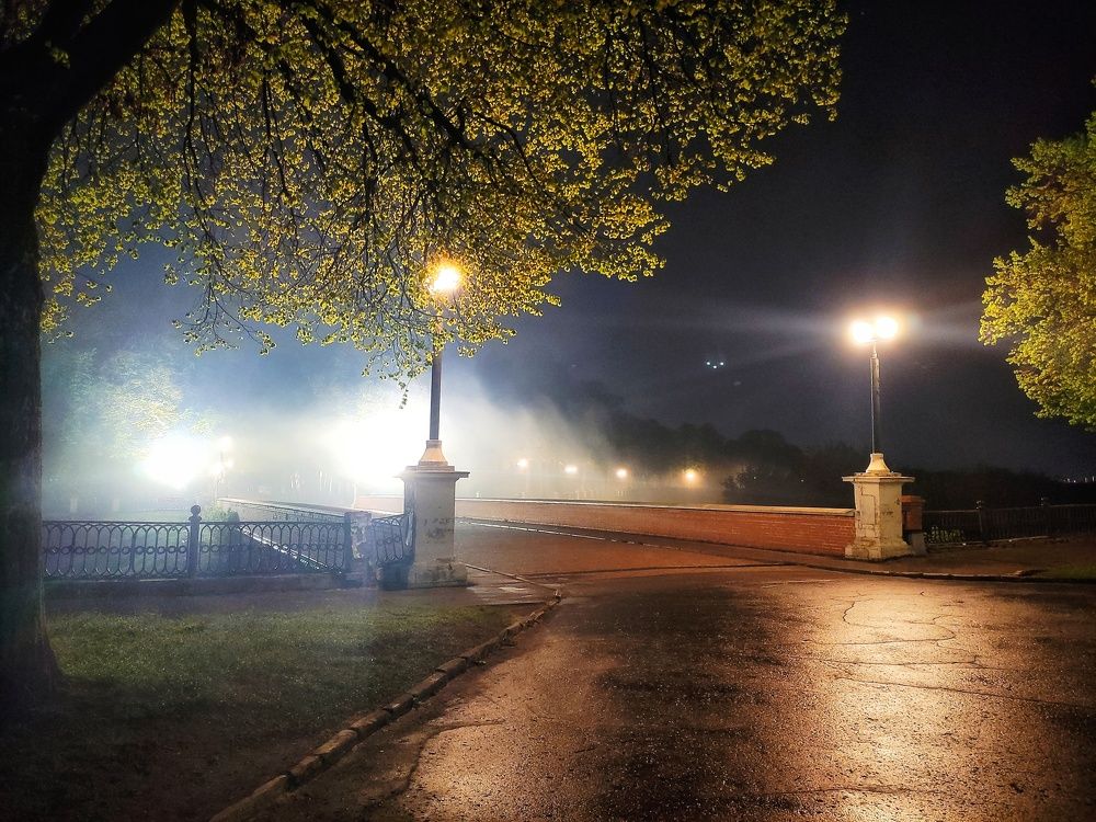 Ночной туман