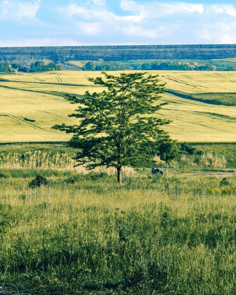 Фотография автора Павел Арсеев